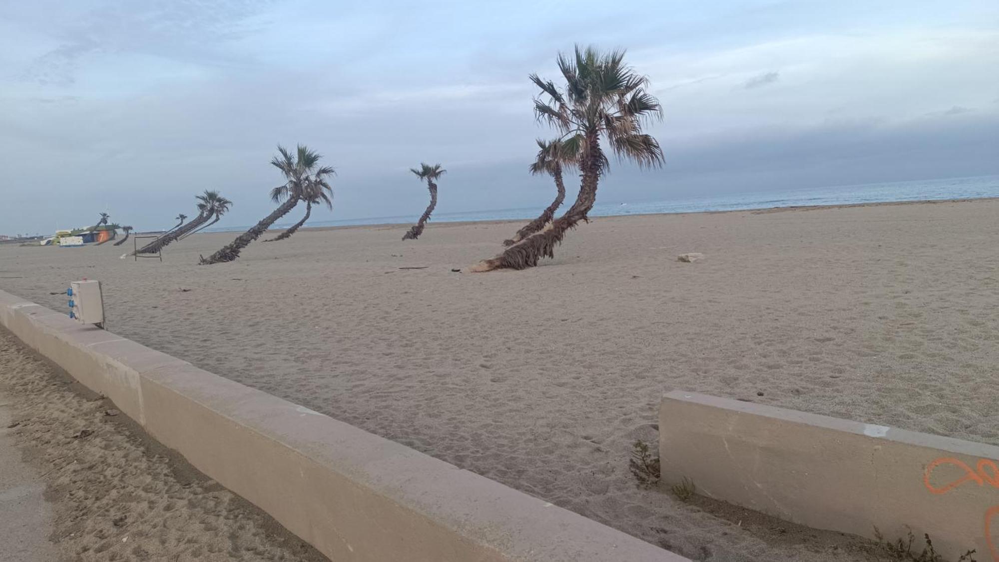 Les 2 Dauphins Villa Le Barcarès Exterior foto